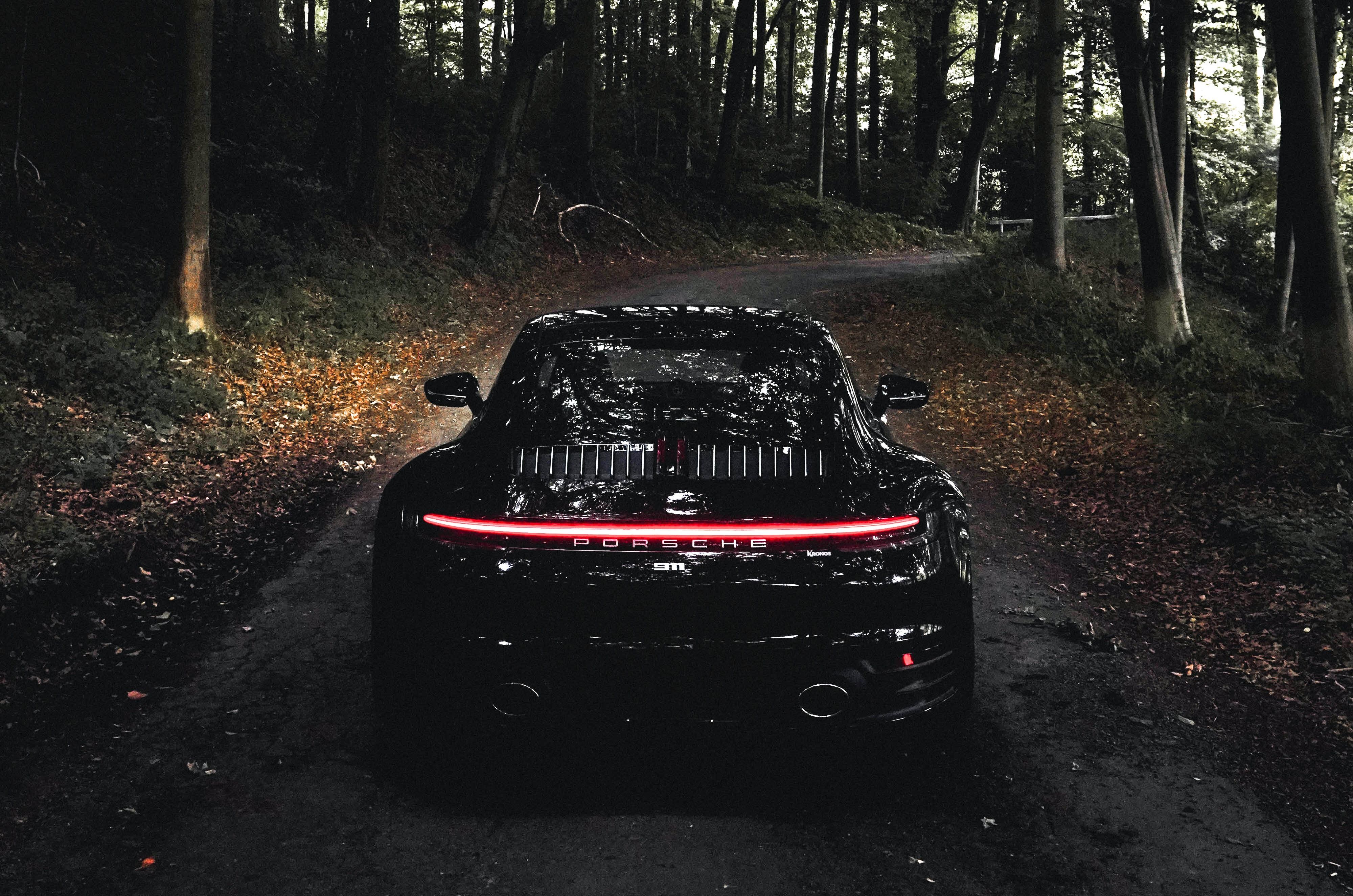 Black Porsche 911 in a forest, seen from the rear.