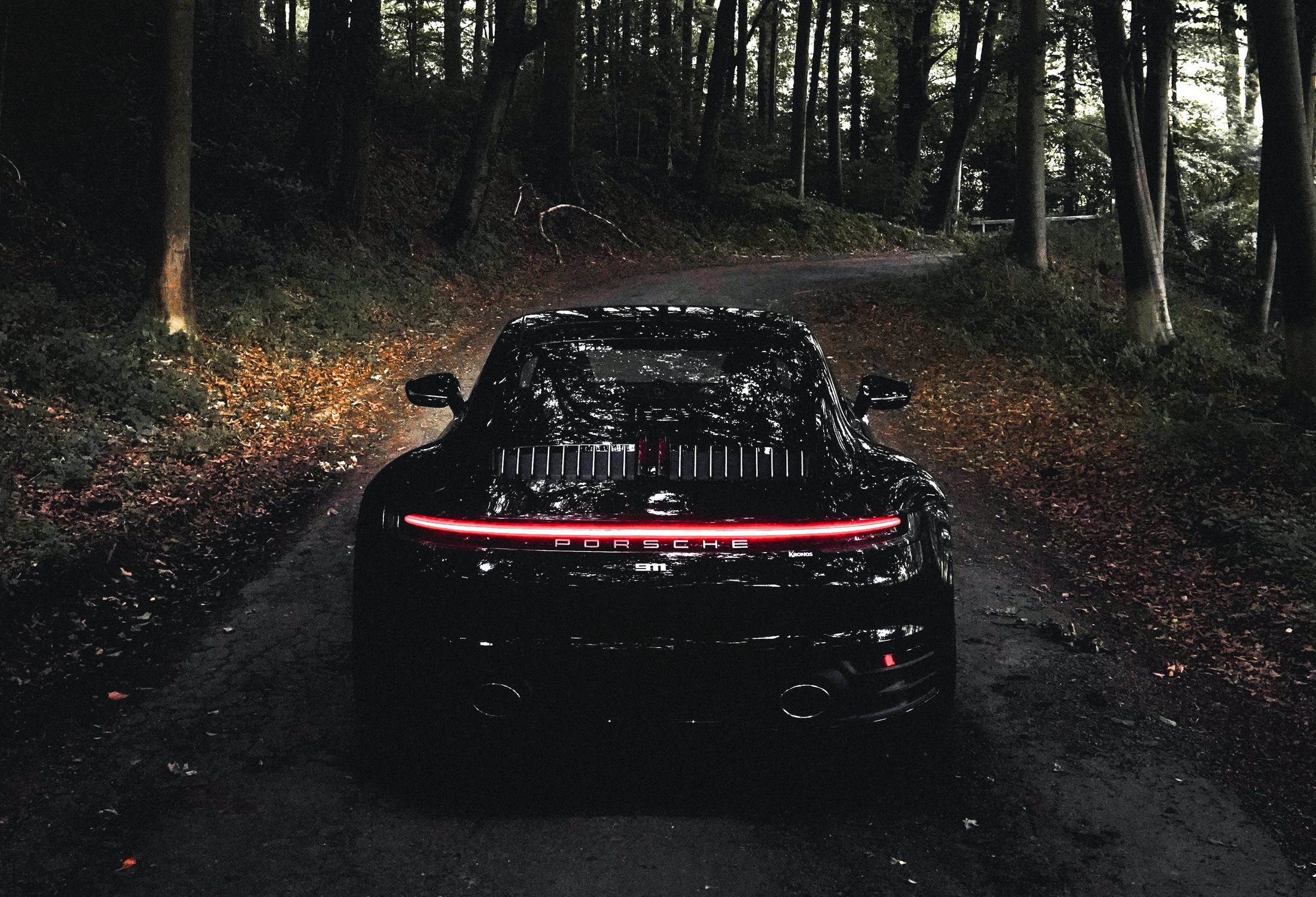 Black Porsche 911 in a forest, seen from the rear.