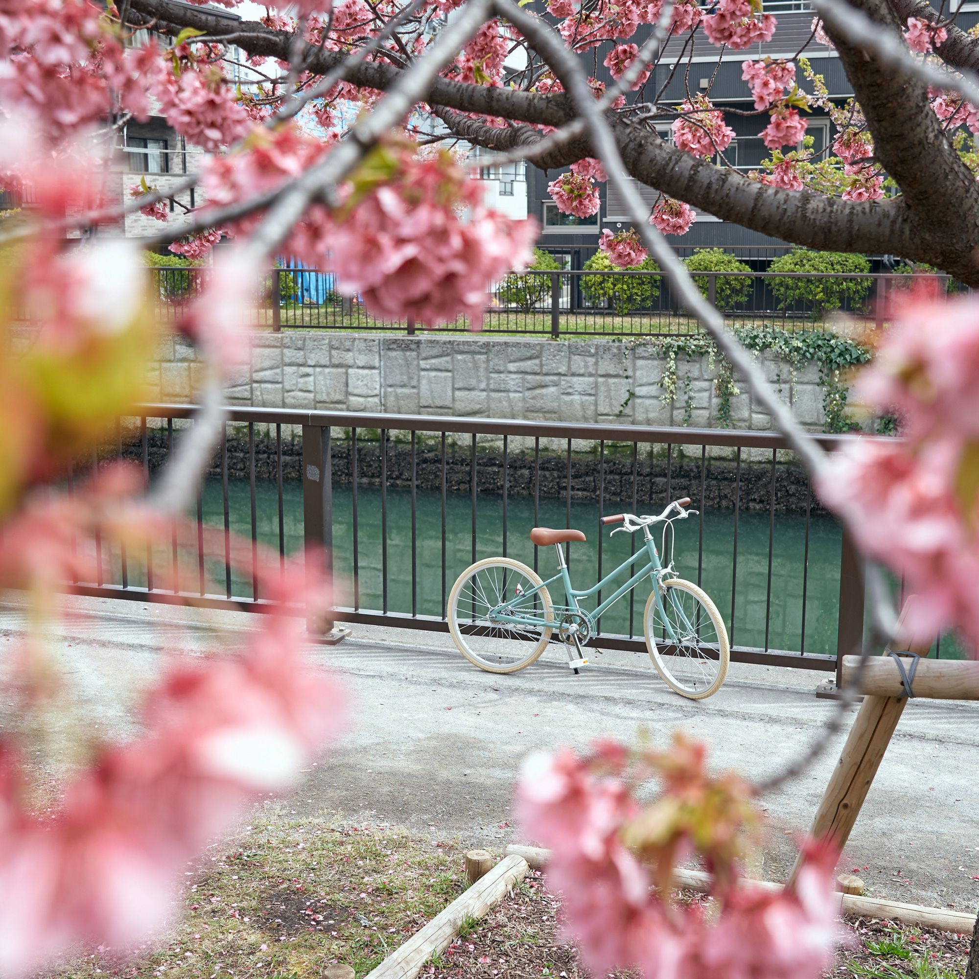 TOKYOBIKE Jr. Step | TOKYOBIKE