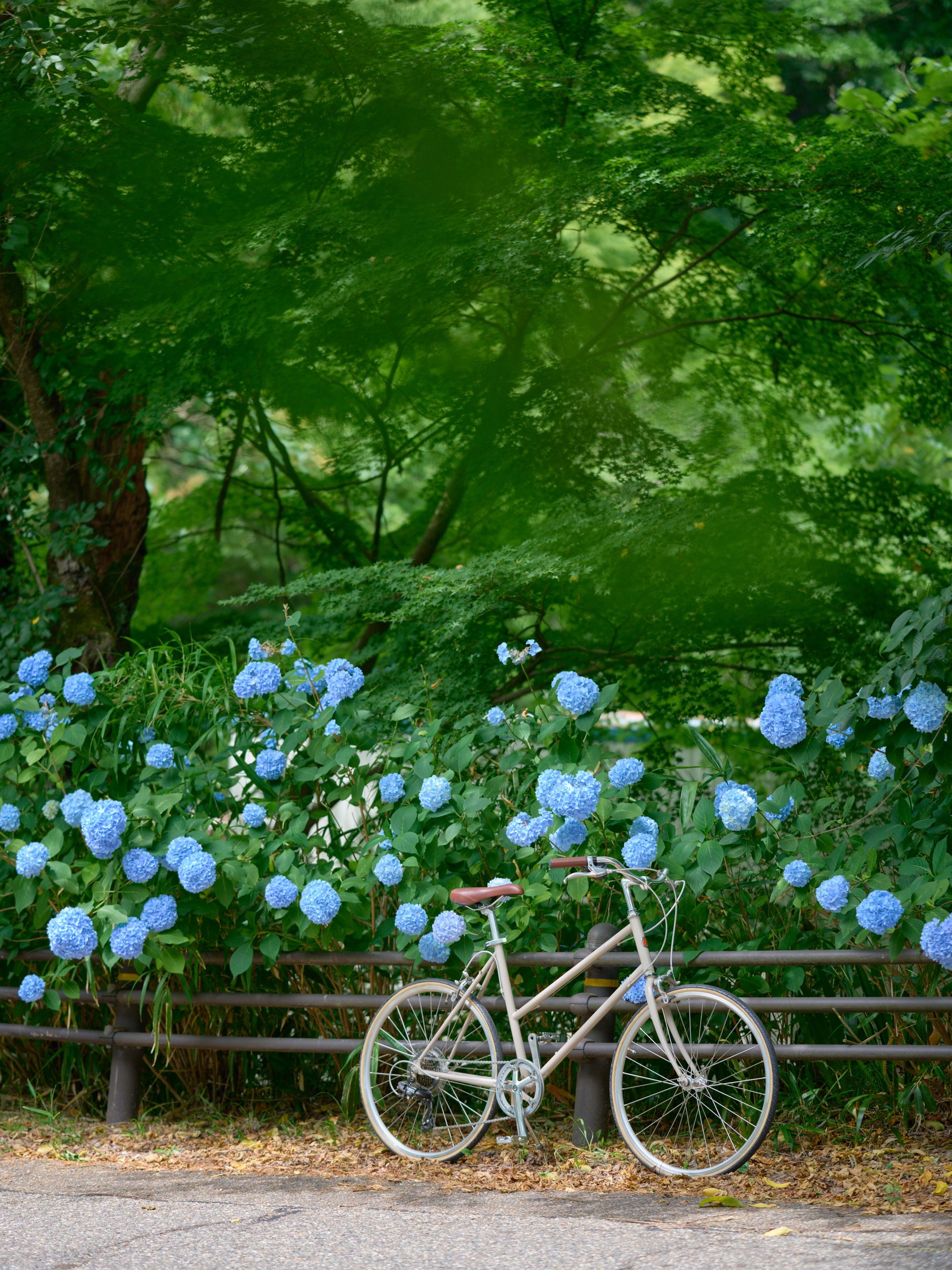 トーキョーバイクの公式サイト | TOKYOBIKE