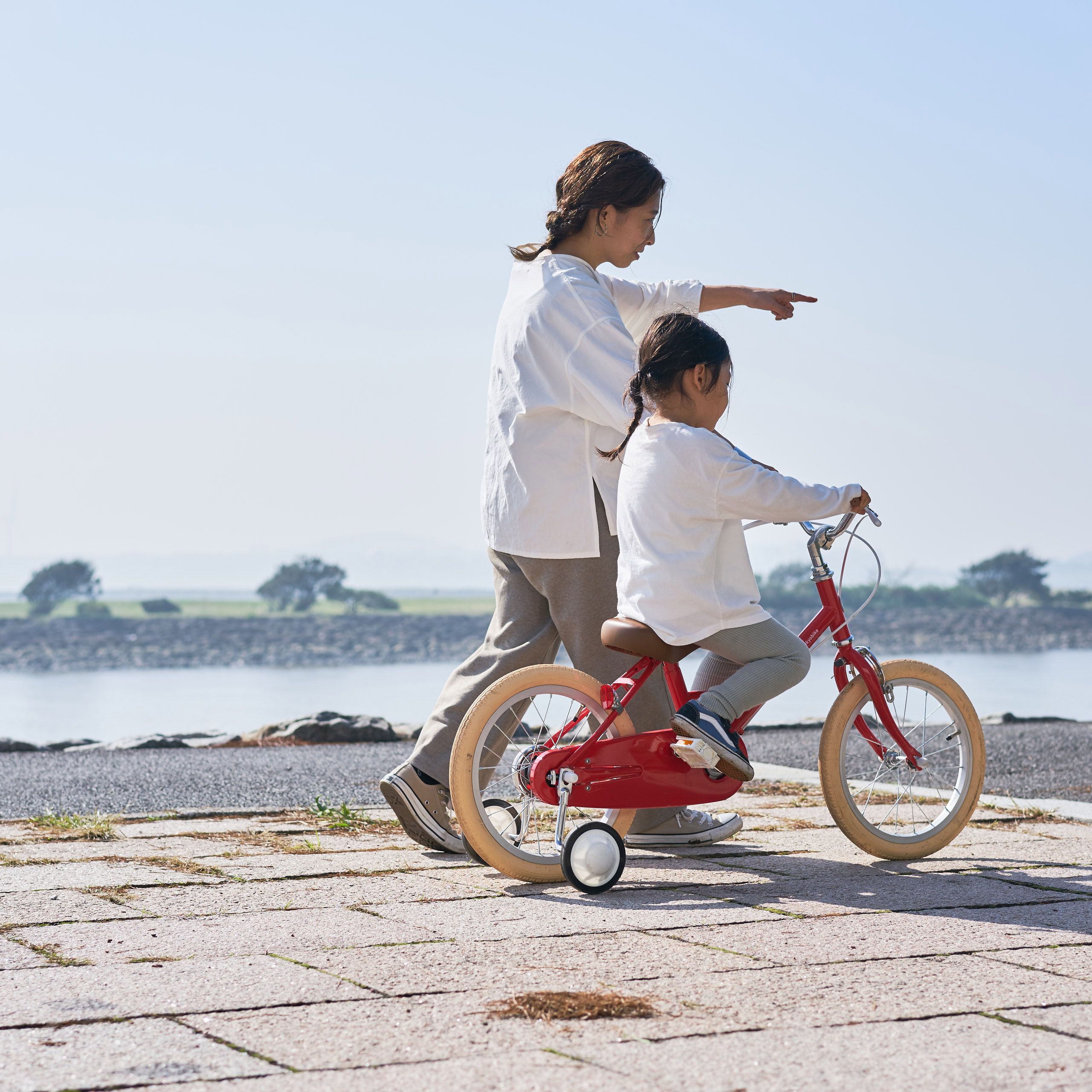 little tokyobike
