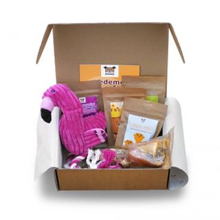 Prémiový balíček Dogsie