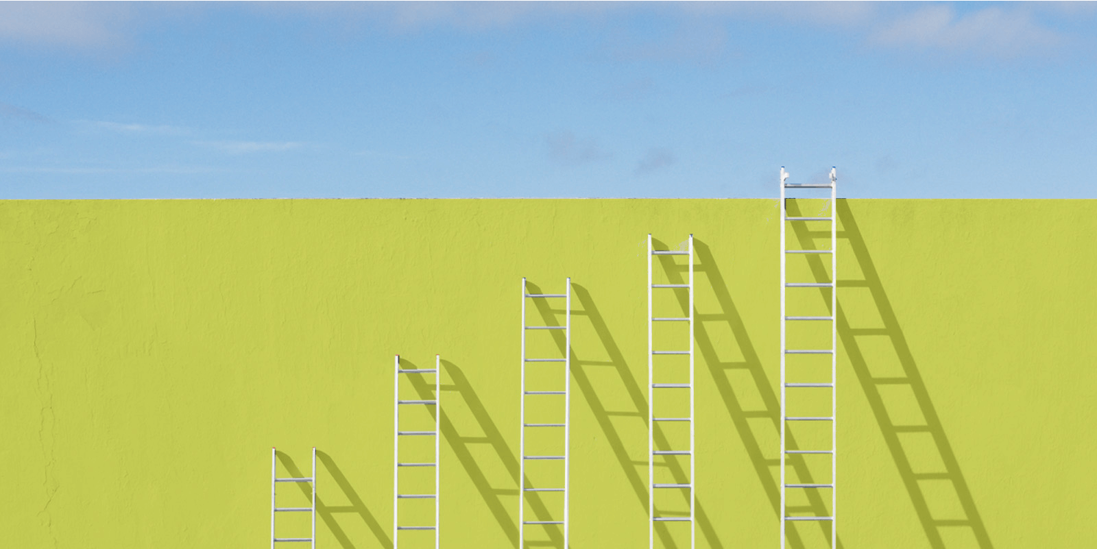 Understanding the Impact of Operating Cash Flow (OCF)