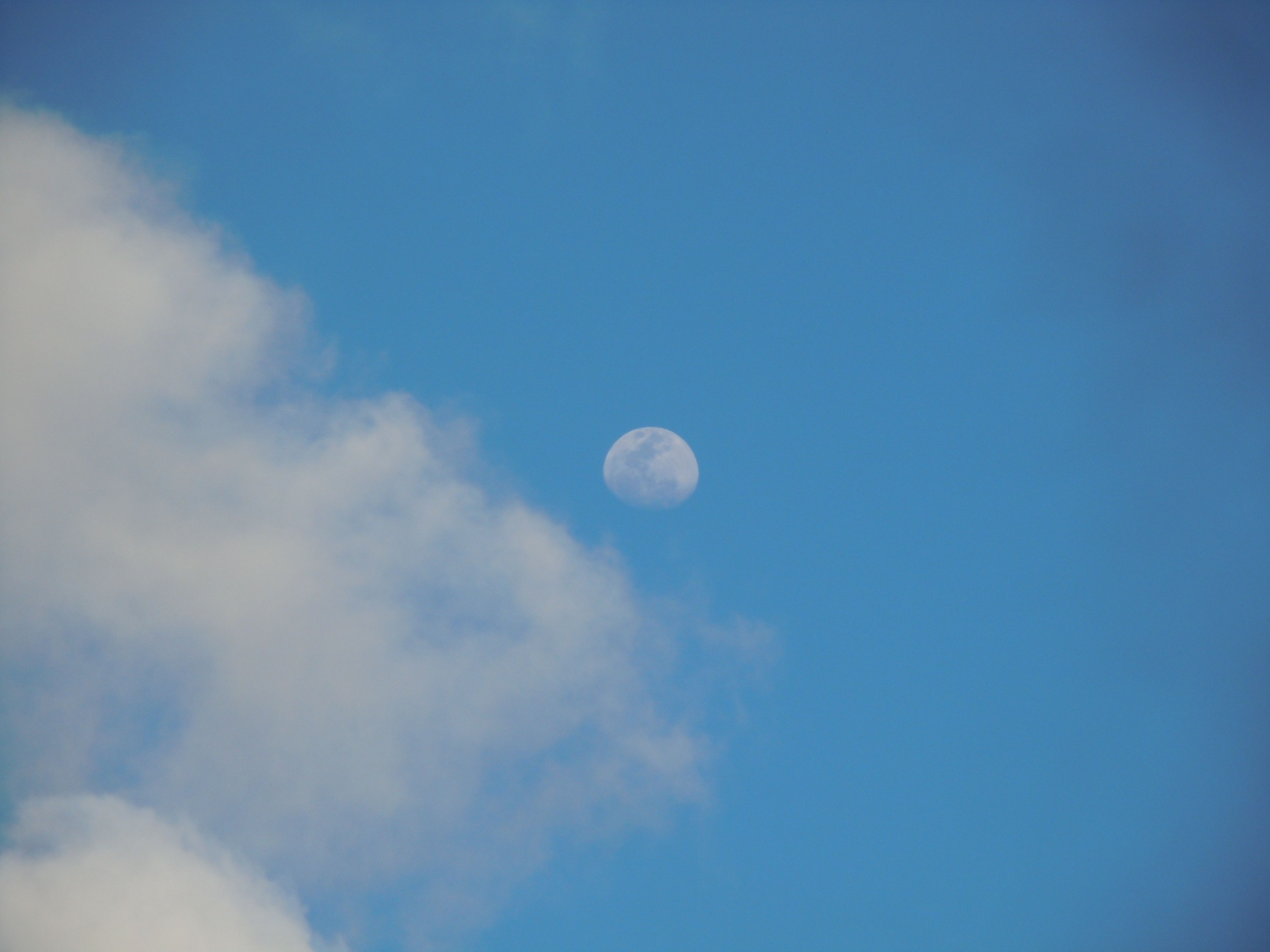 Lua