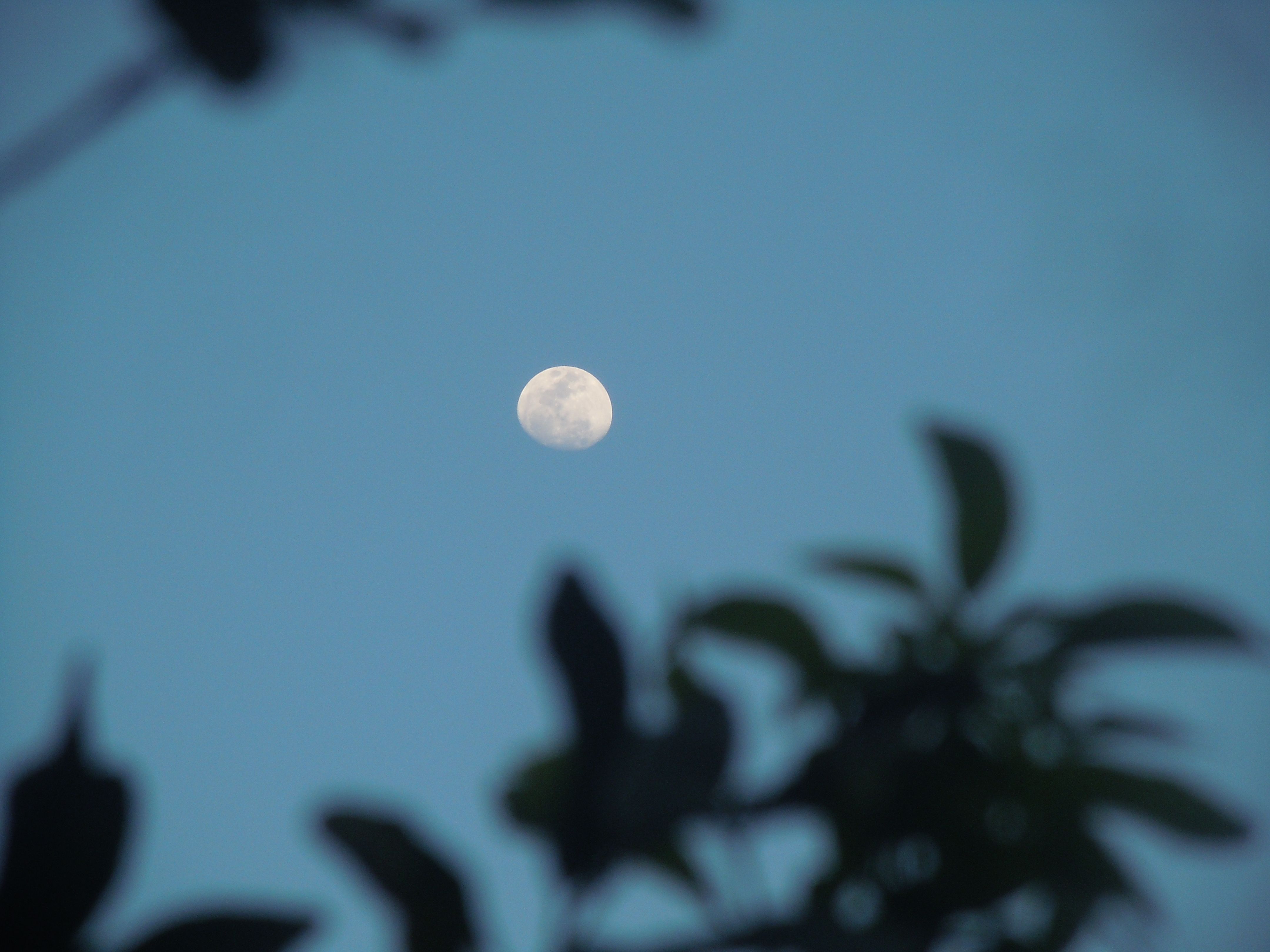 Lua