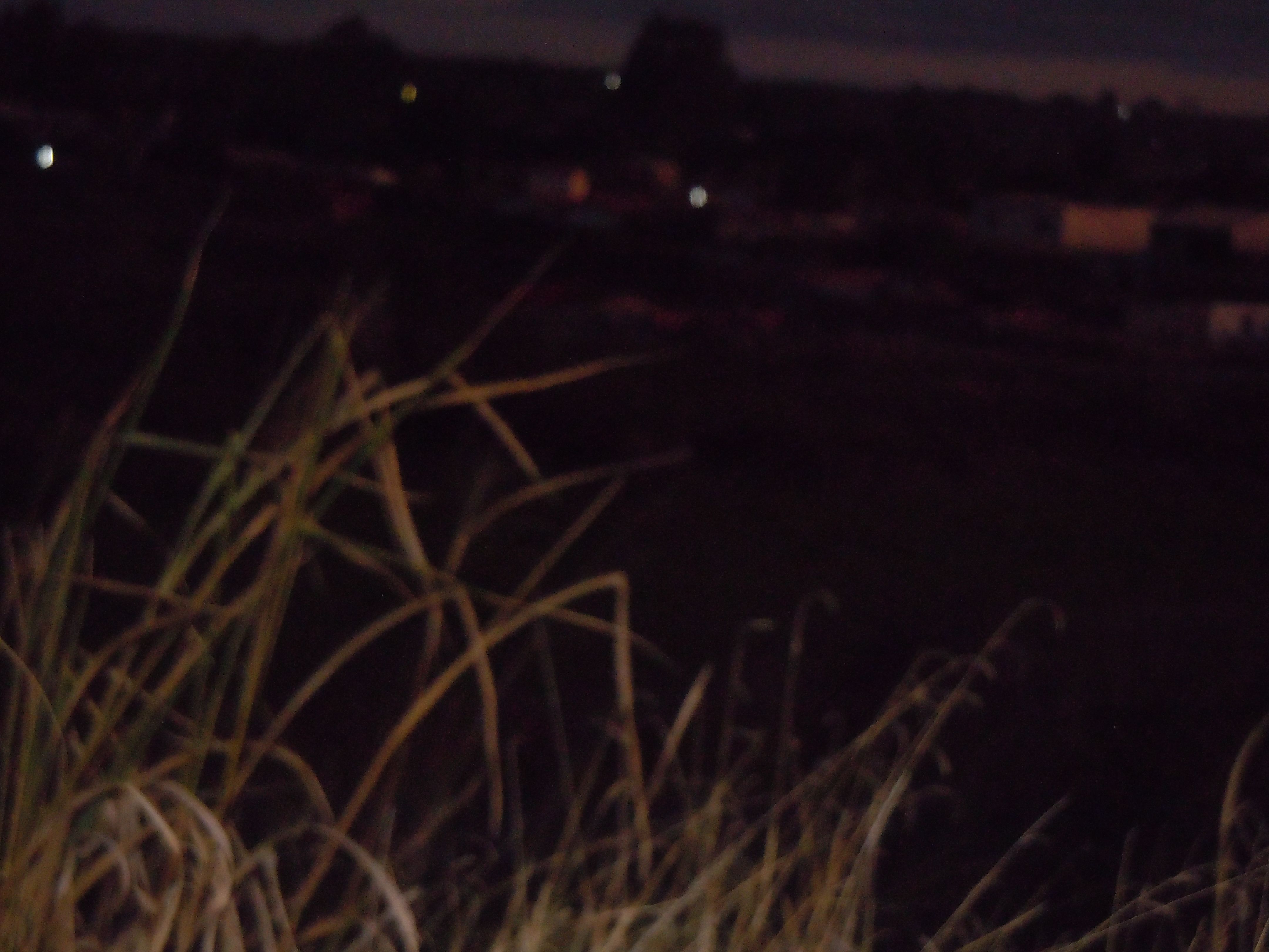 Paisagem