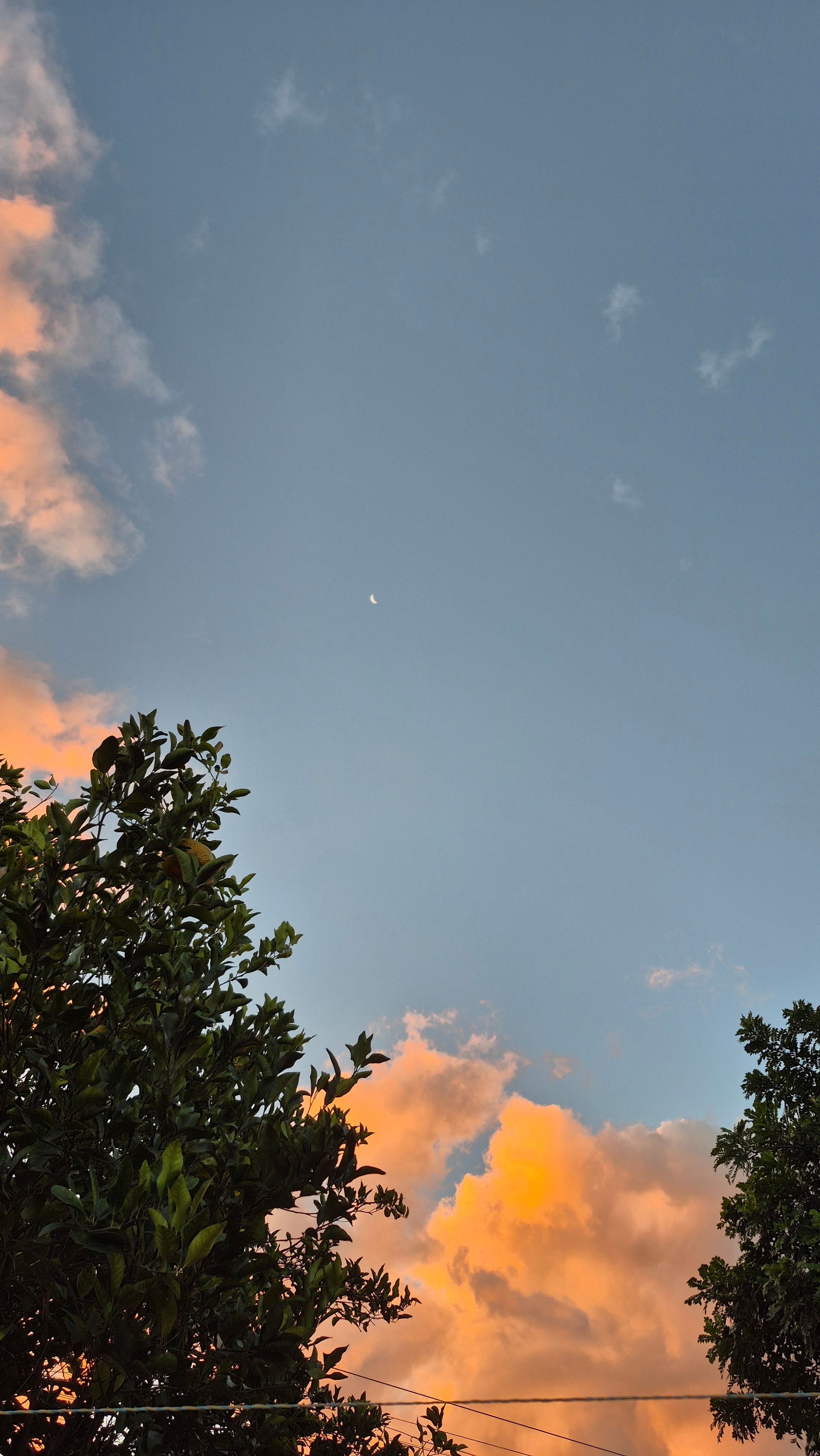 Céu