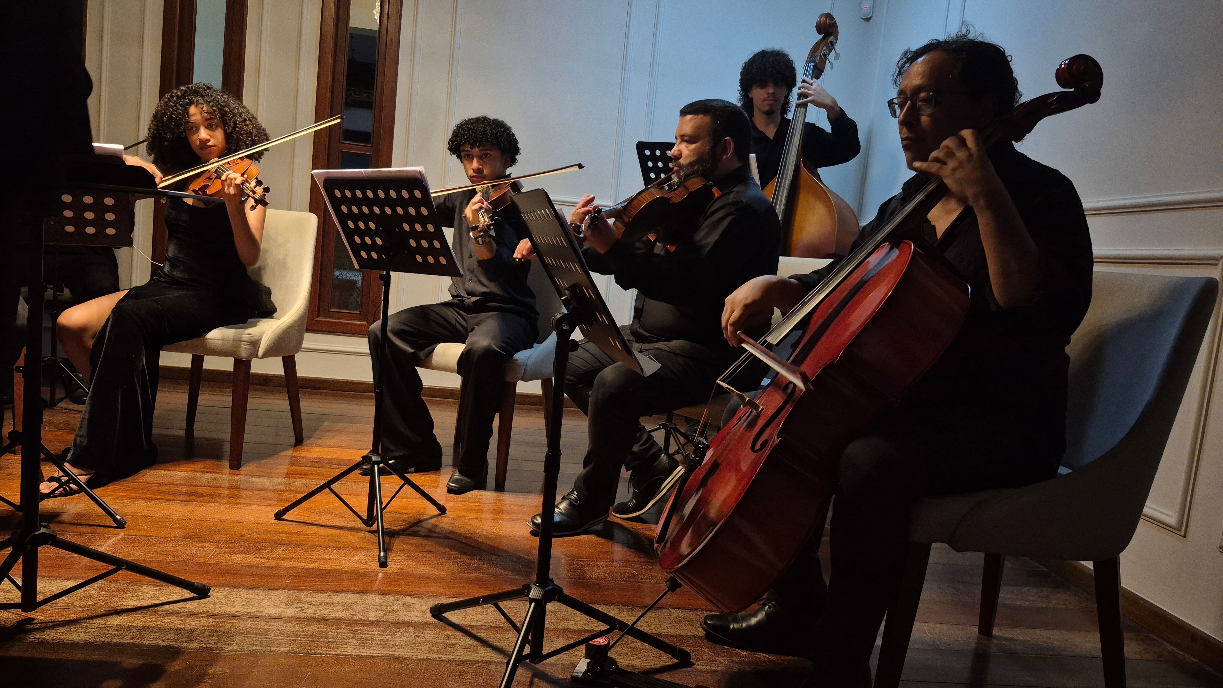 Camerata de cordas - Concerto Cordas Brasileiras