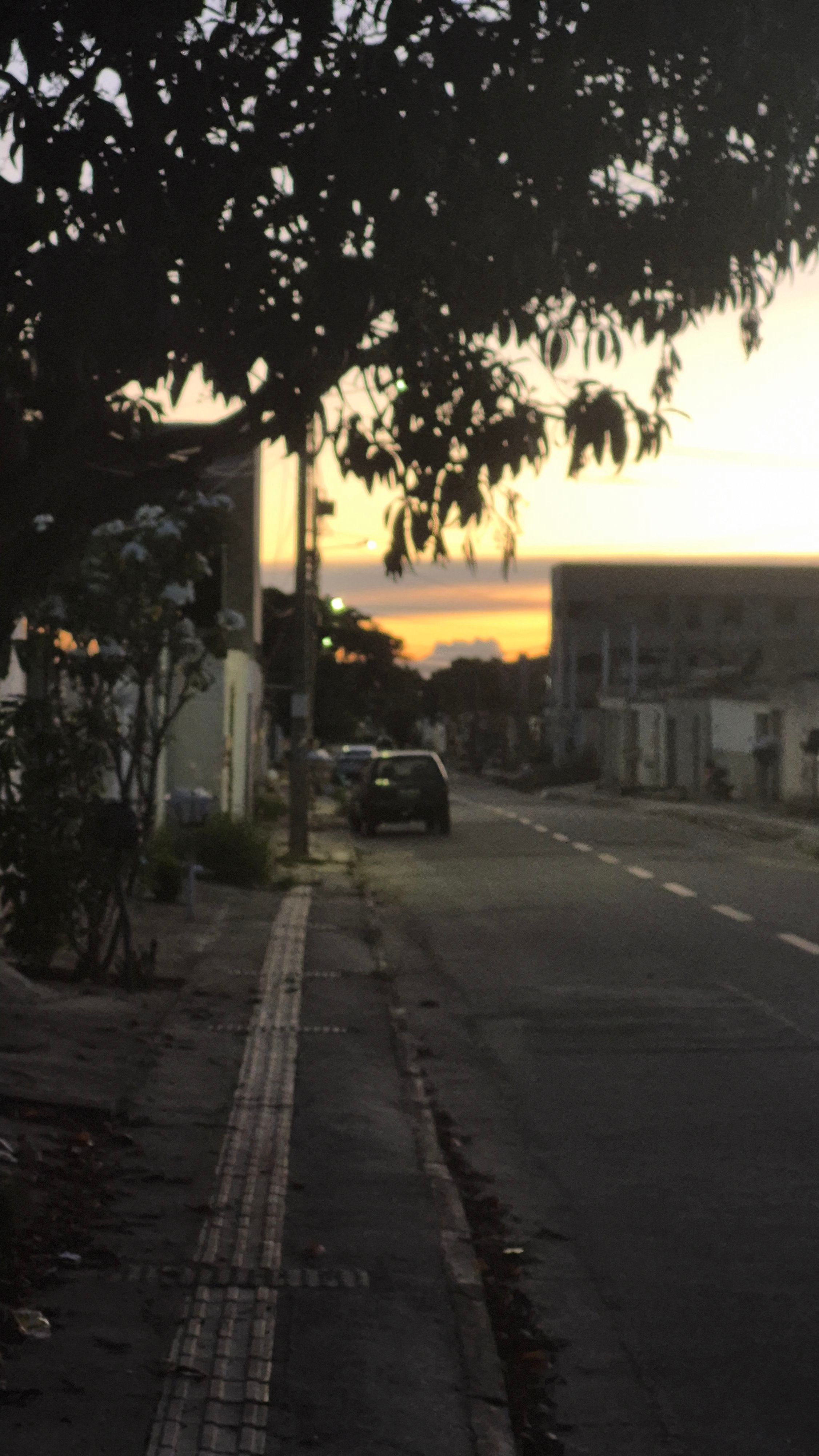Rua