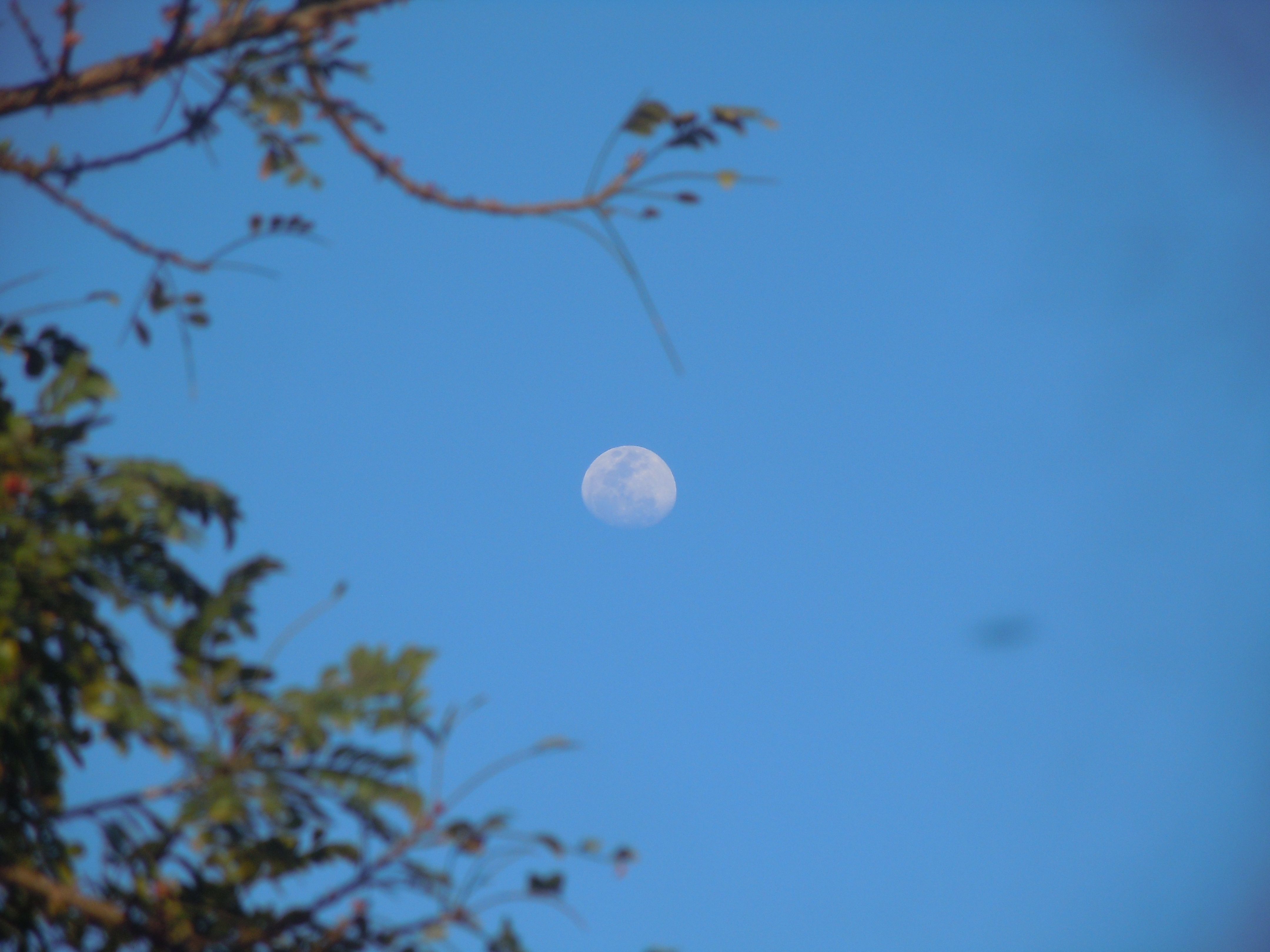 Lua