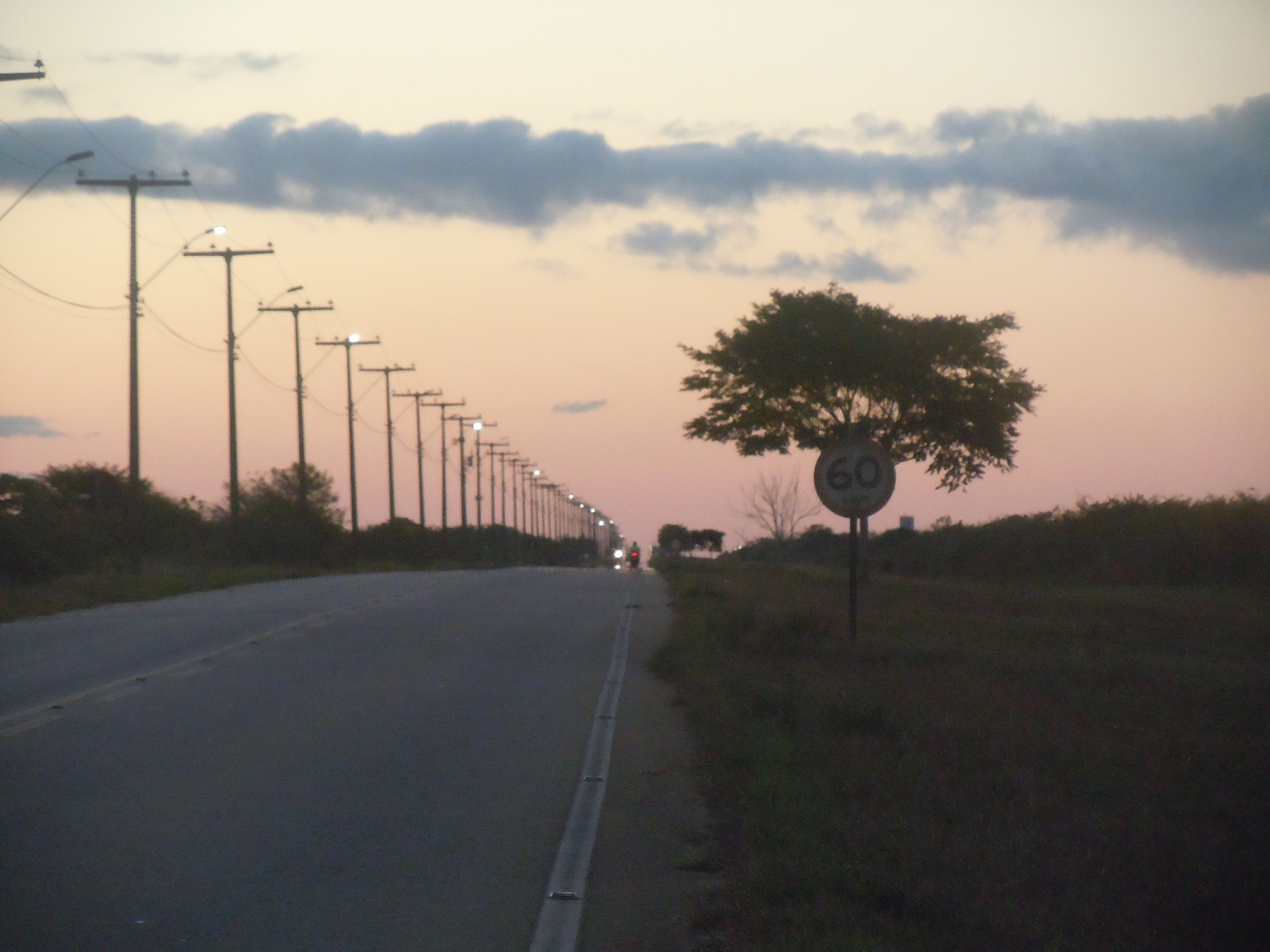 Pista