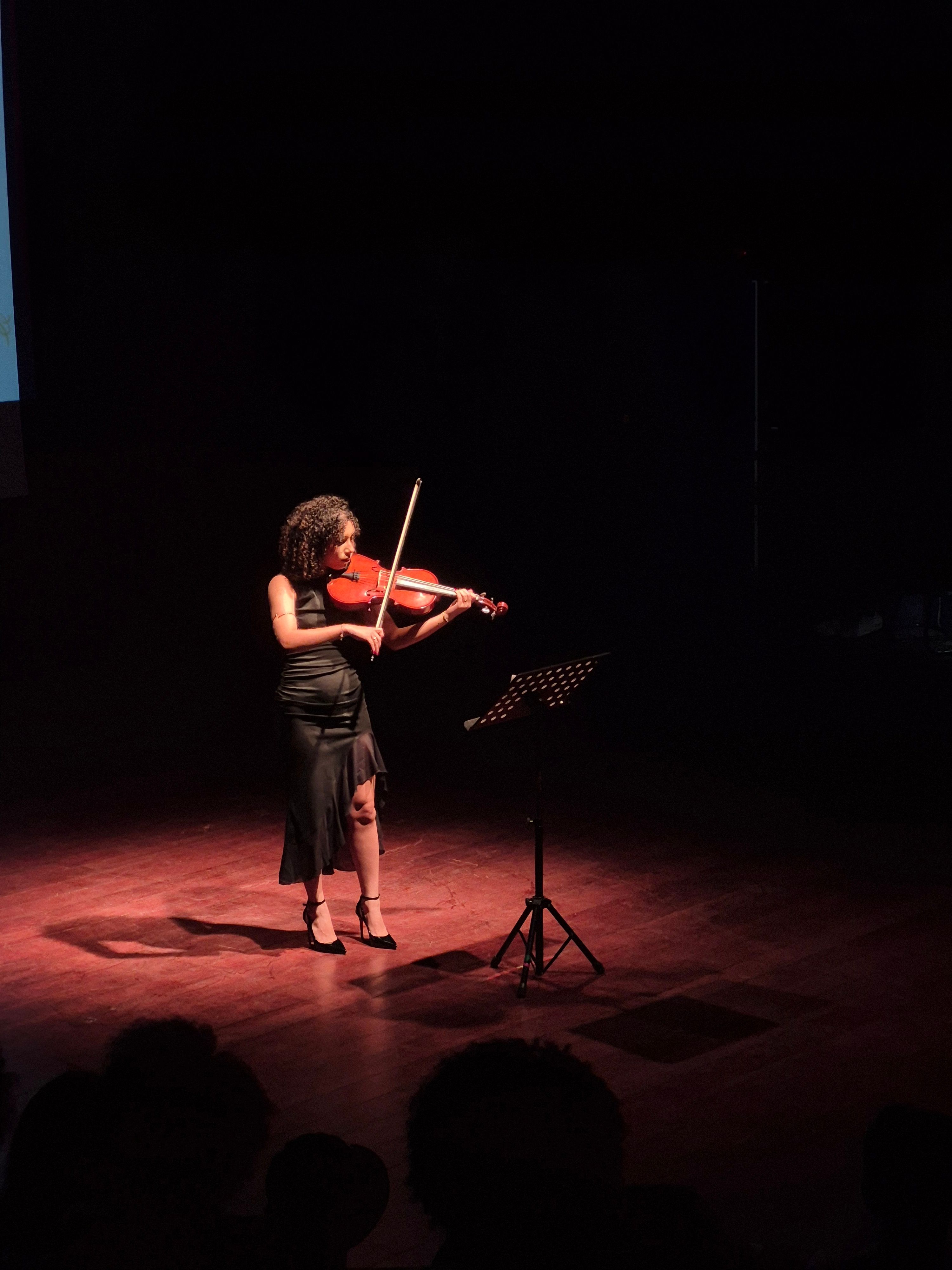 Mulher tocando violino