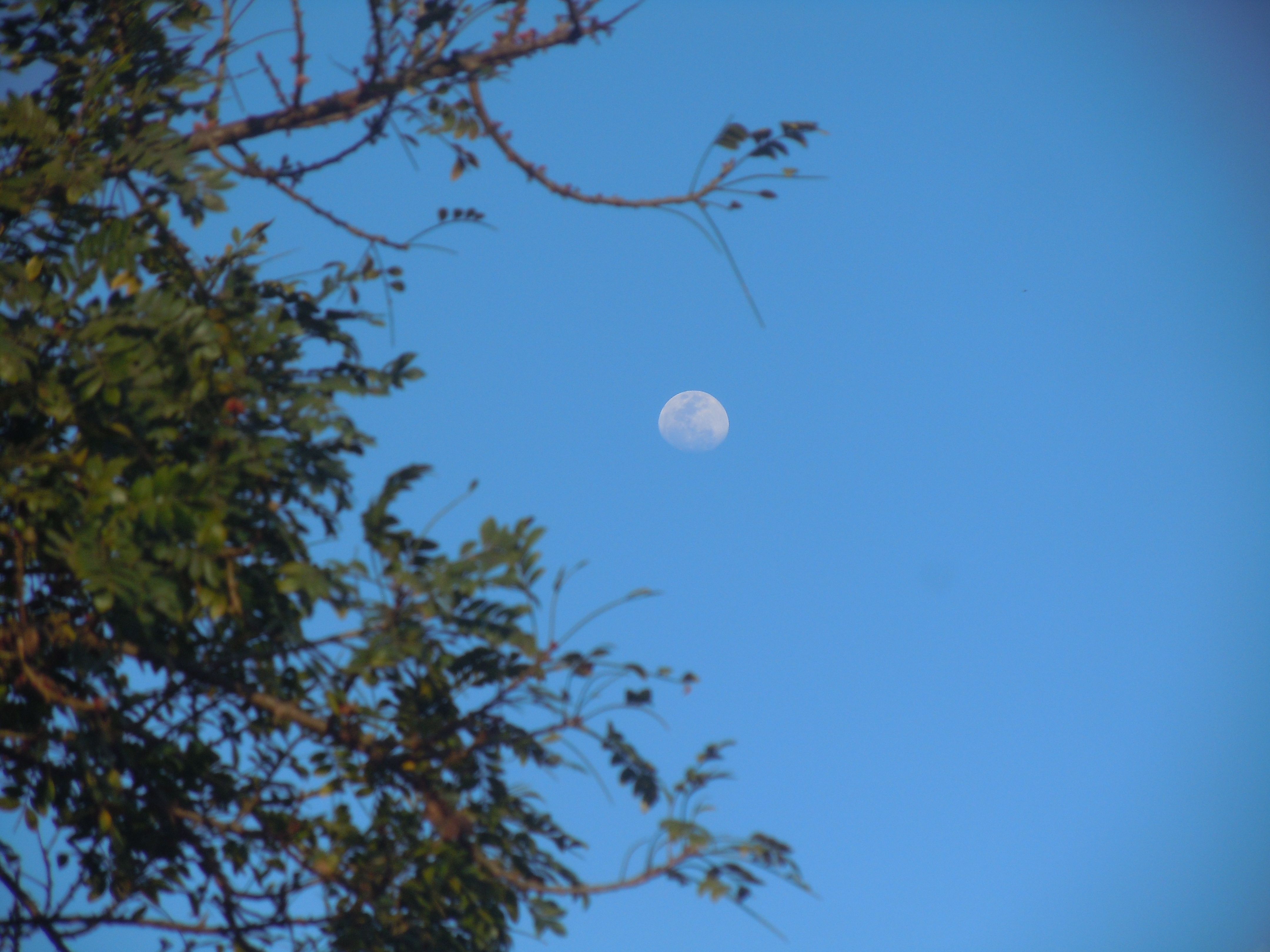 Lua