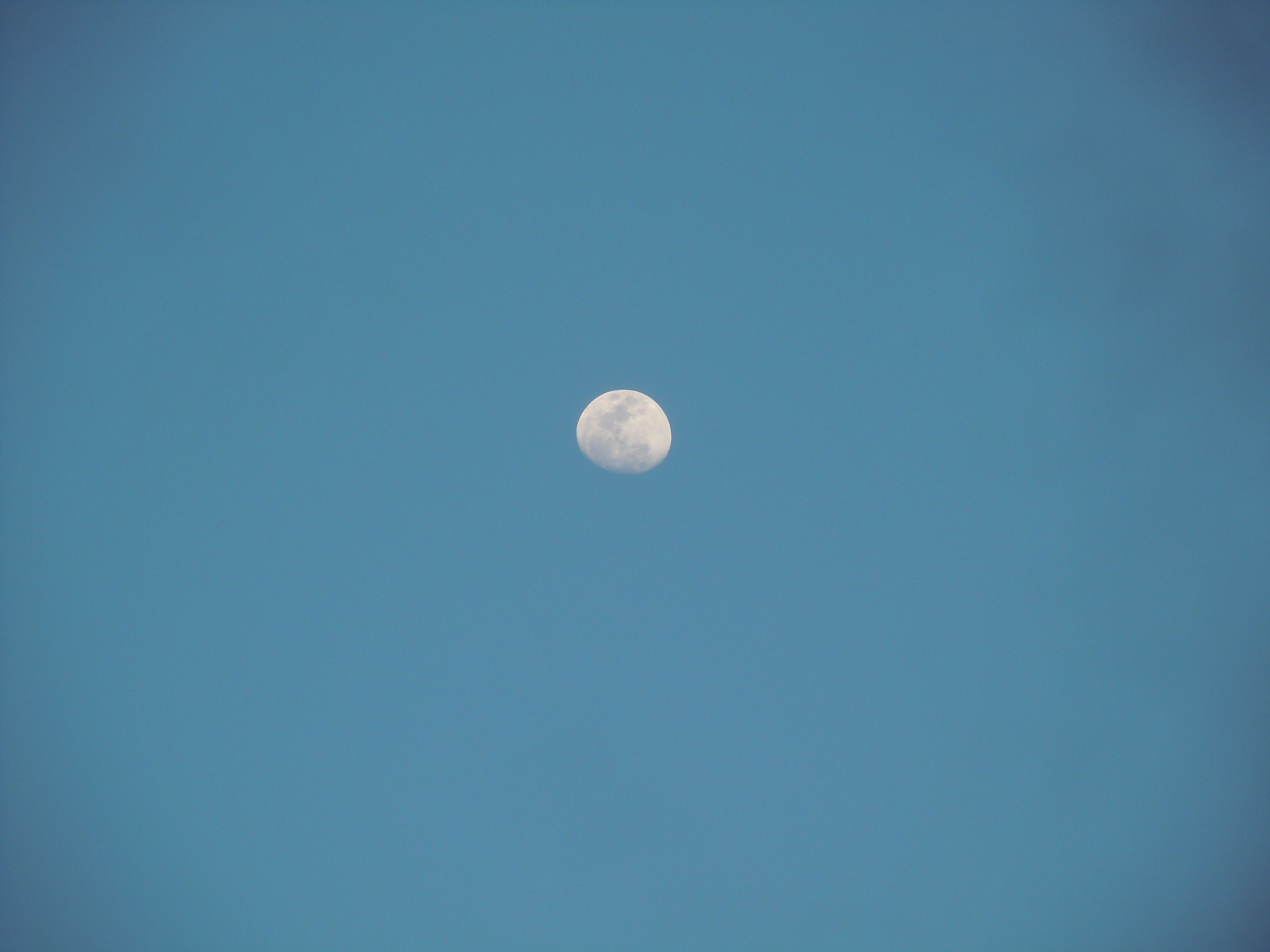 Lua