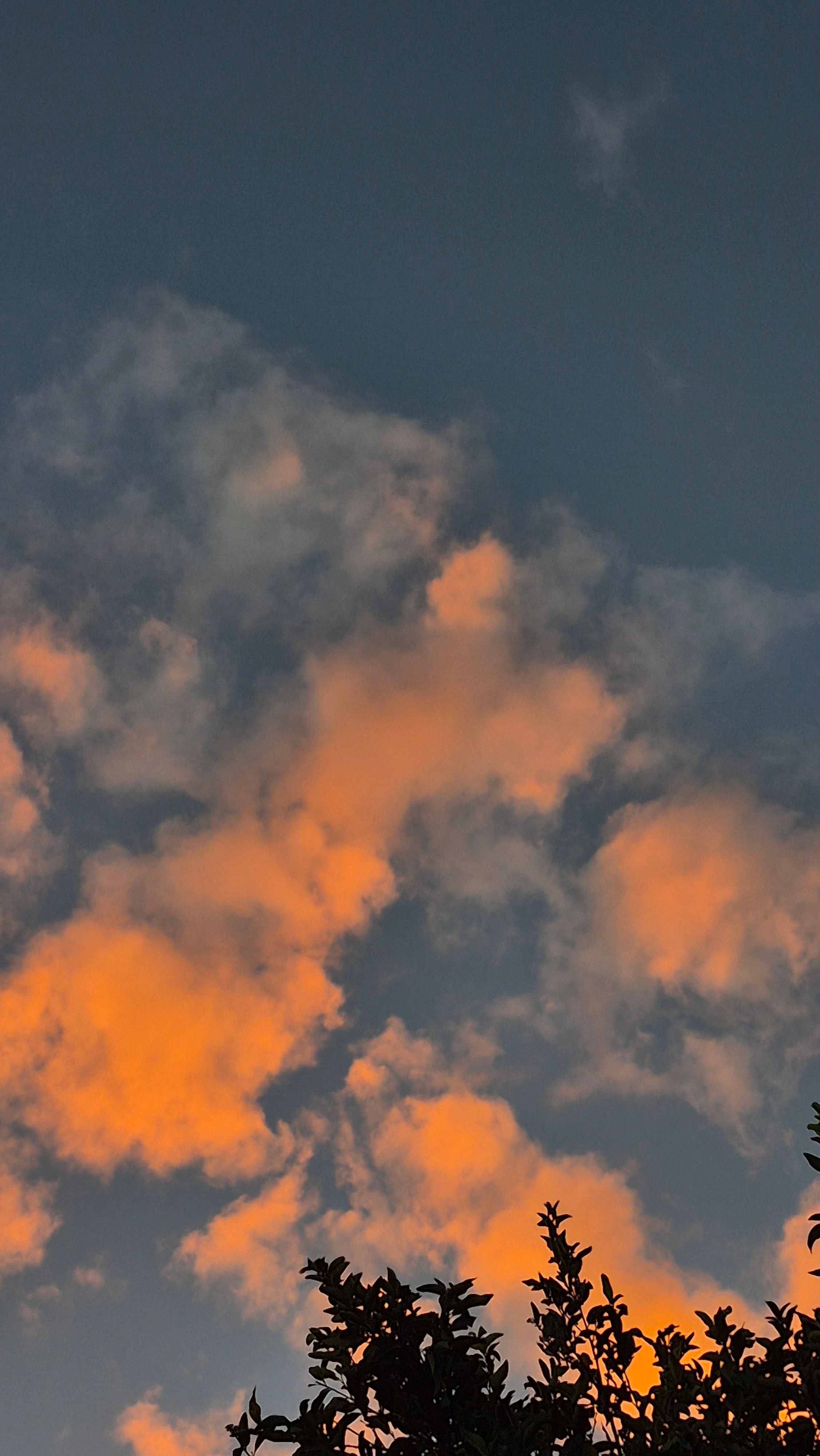 Céu