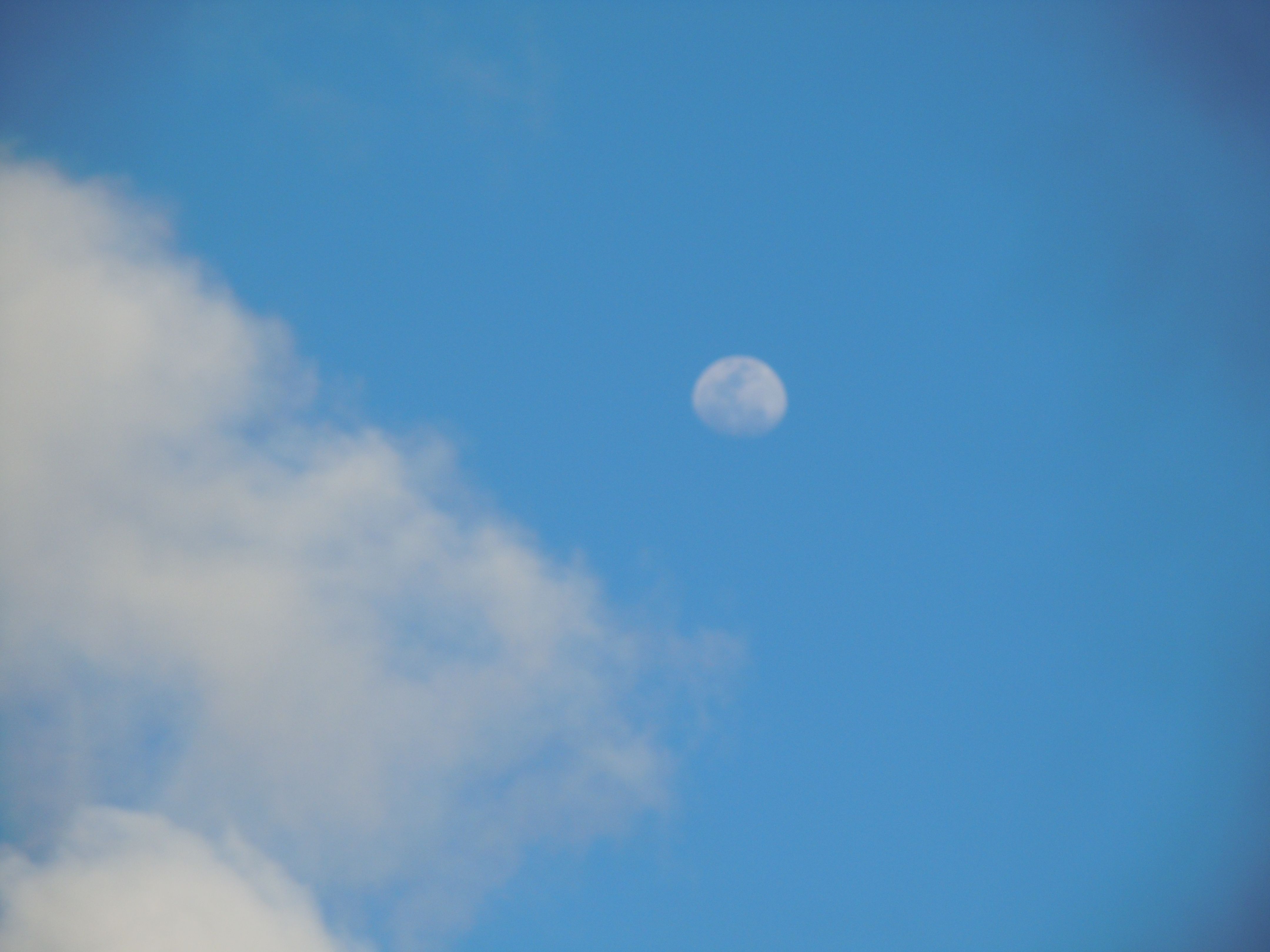 Lua