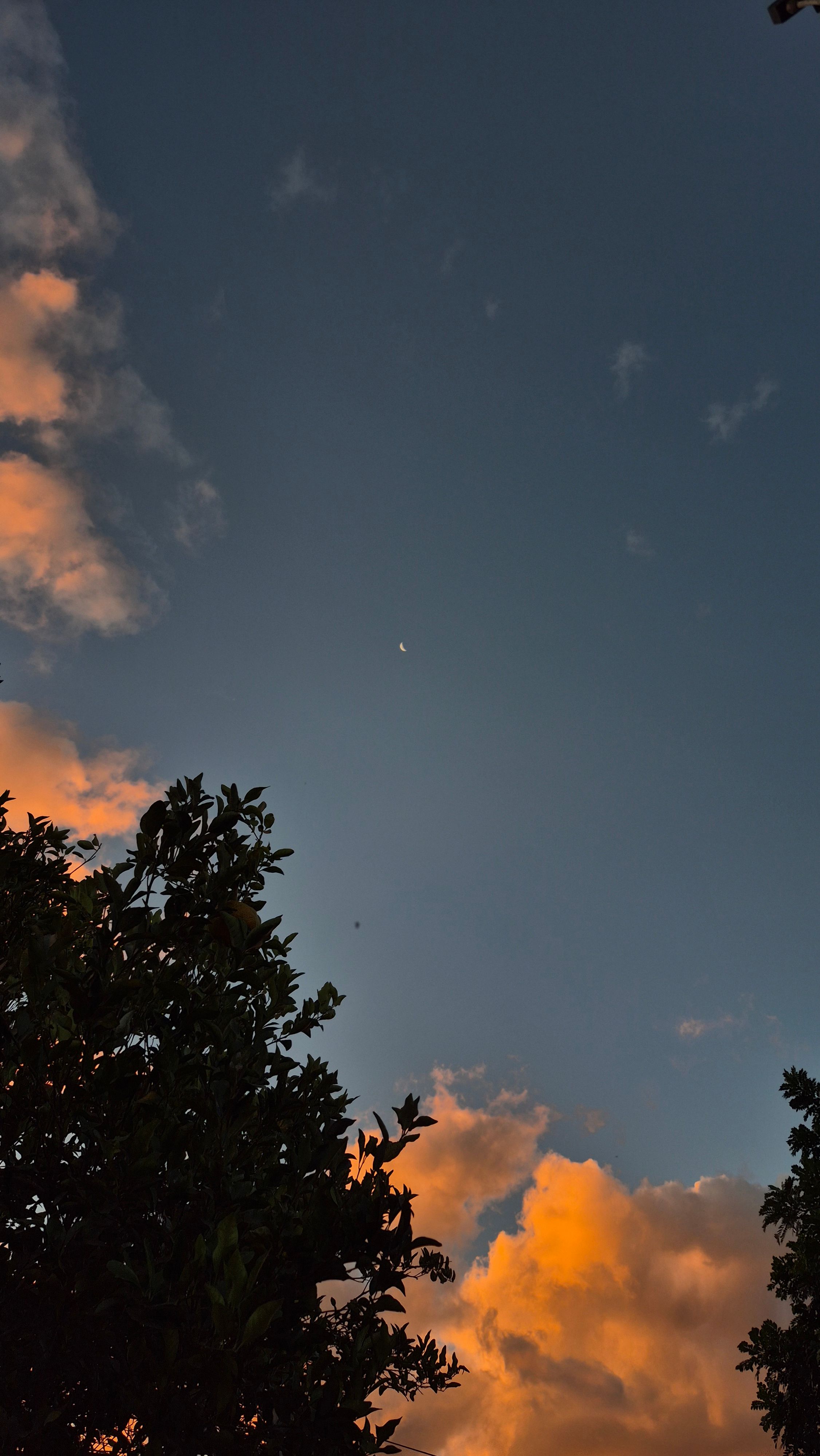 Céu