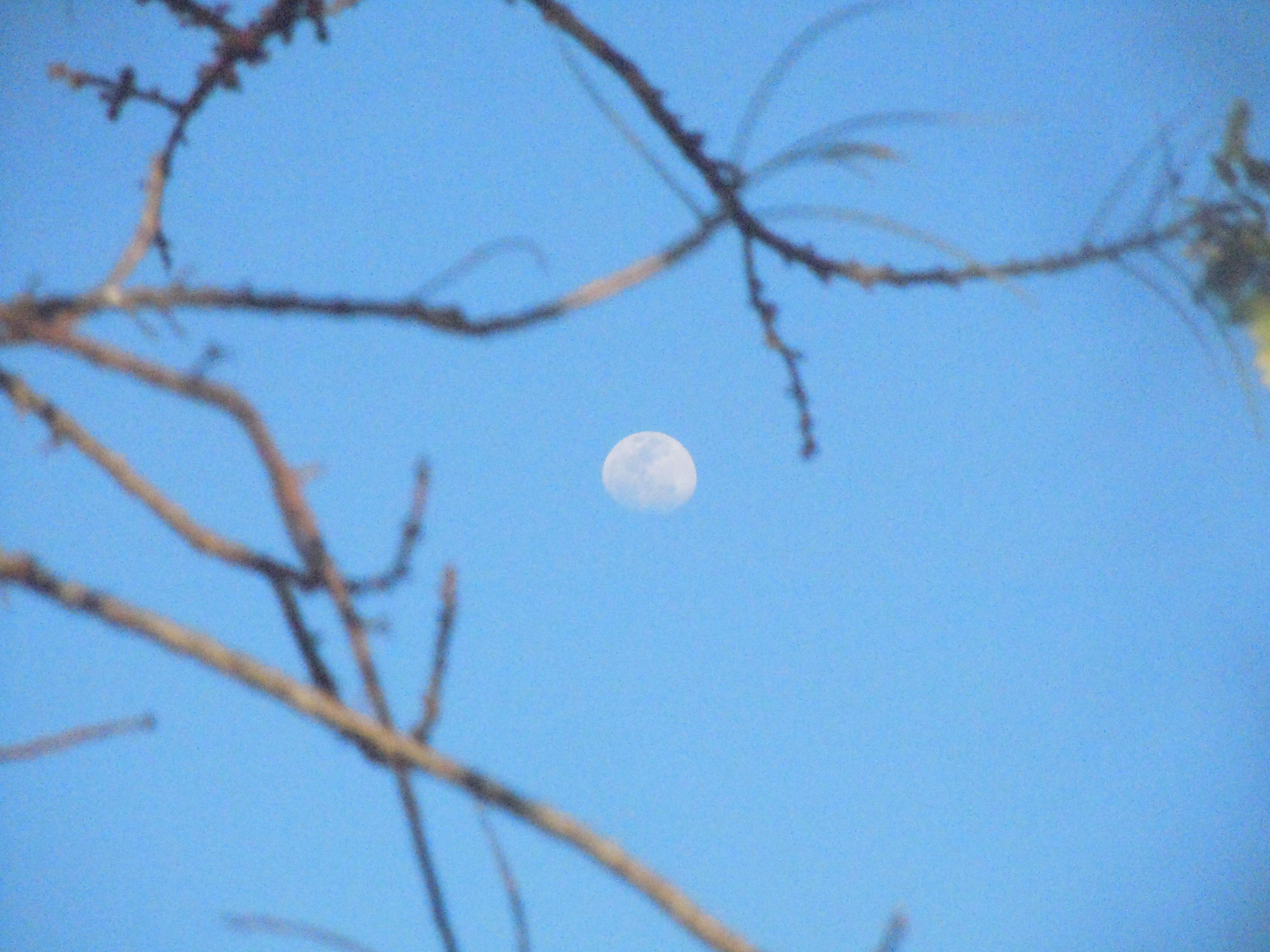 Lua