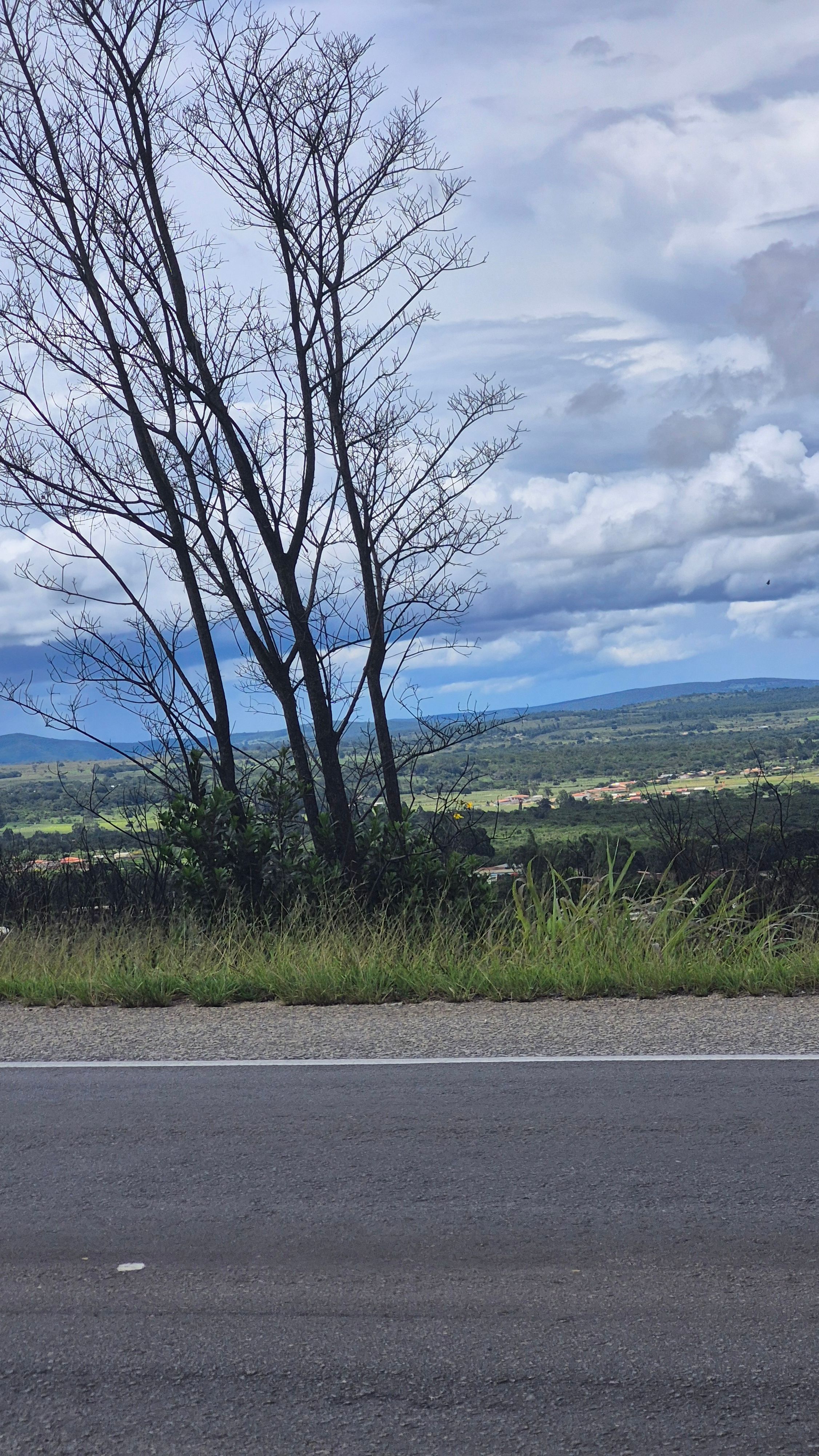 Estrada