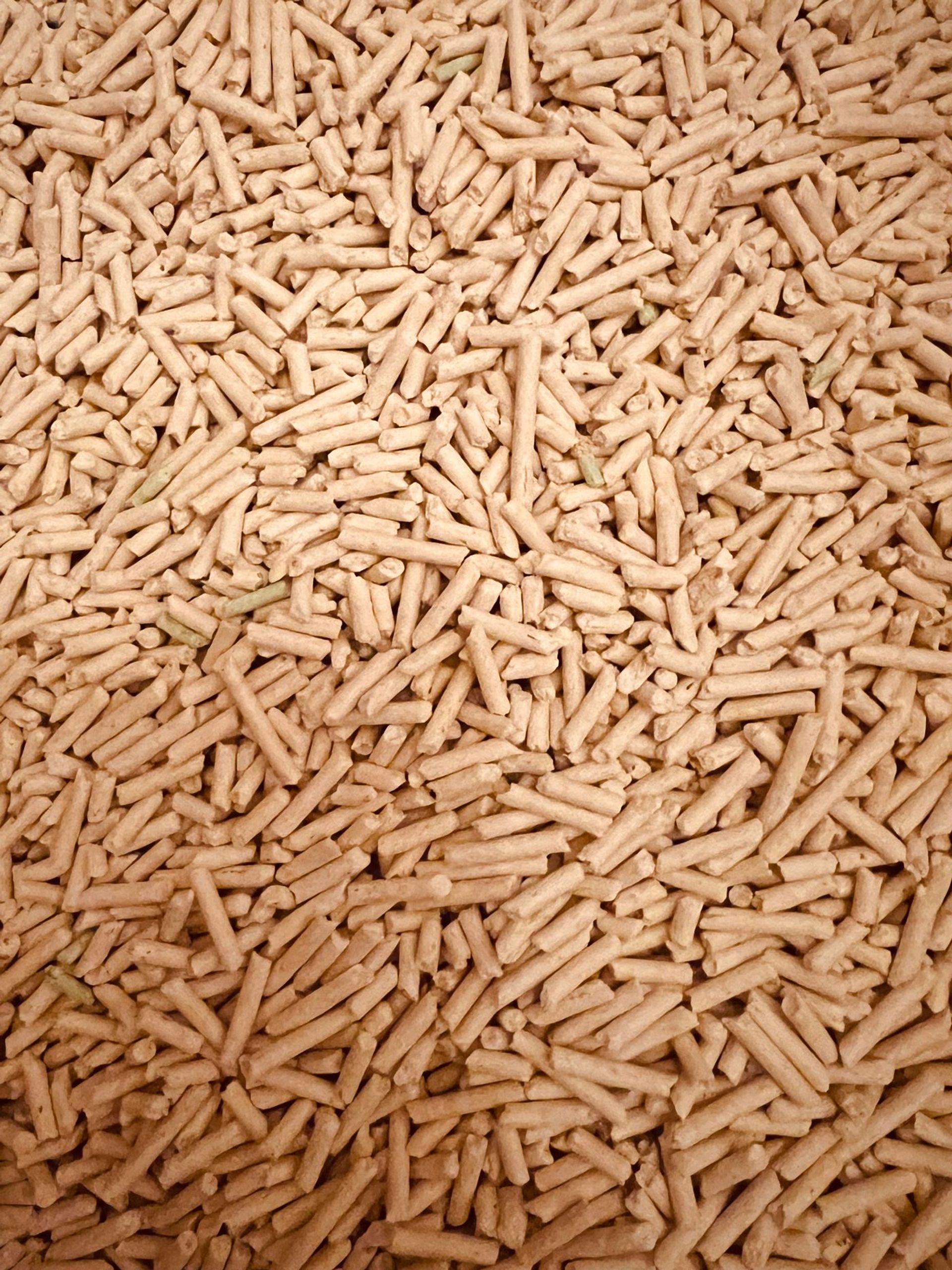 The real CO₂ math of switching from coal to biomass pellets