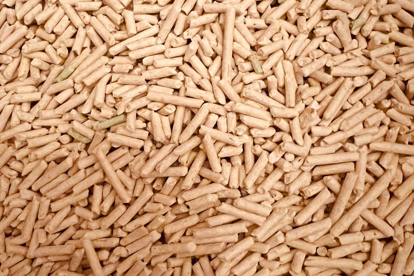 Inside NatureTech’s Sanity-Powered Blog Workflow