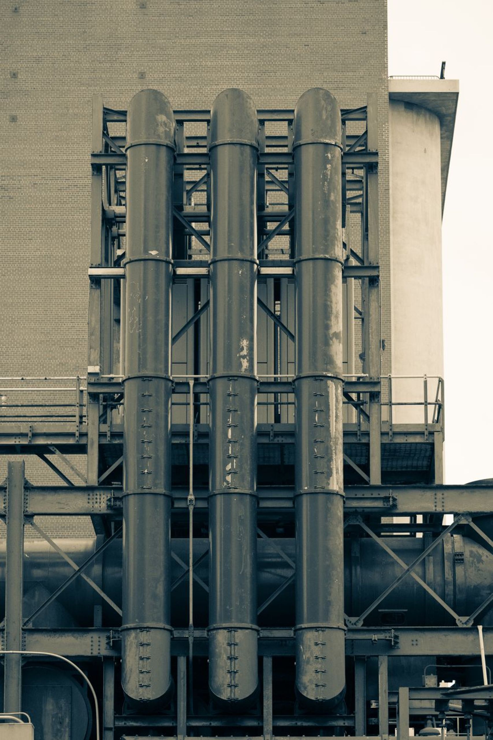 The Pakistan biomass market: a 2026 outlook