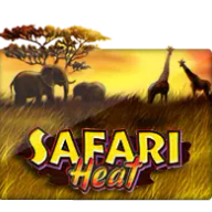 Safari Heat