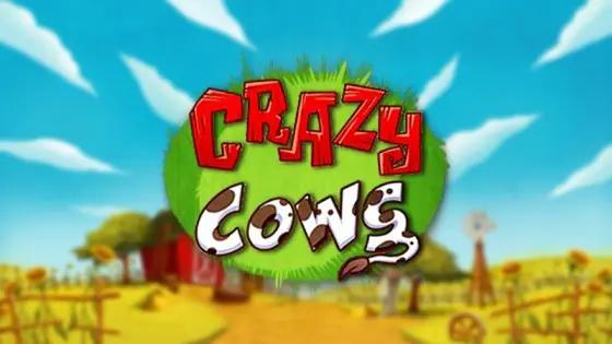 Crazy cows