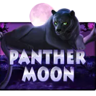 Panther Moon