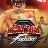 Muaythai Fighter