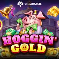 Hoggin Gold