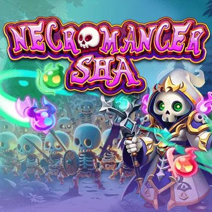 Necromancer Sha