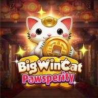 Big Win Cat