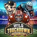Wild Touchdown
