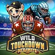 Wild Touchdown