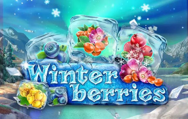 Winter Berries