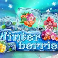 Winter Berries