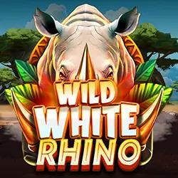 Wild White Rhino