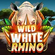 Wild White Rhino