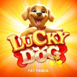 Lucky Dog