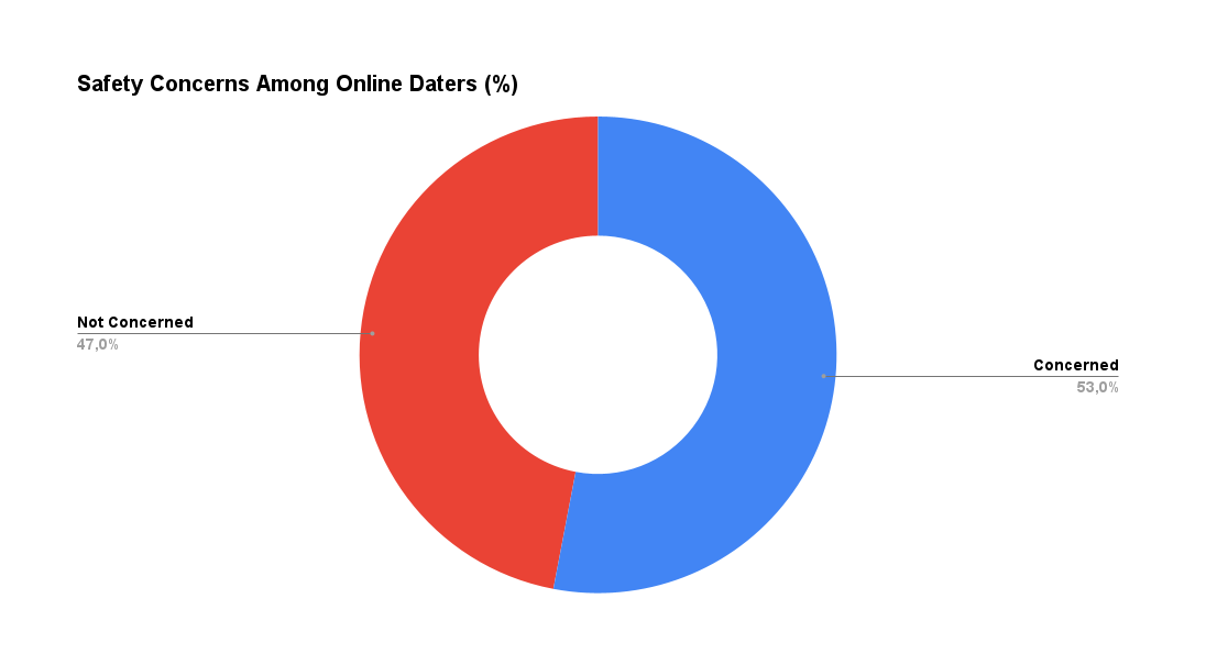 chart displays safety concerns among online datersundefined