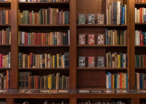 Collages stand on wooden bookshelves next to books; Other collages along bookshelf ledge below