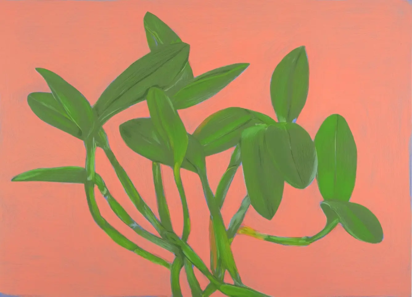 Green leaves on a peach background