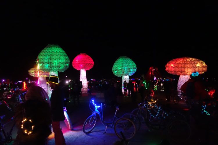 Burning Man Lumen Shrumen