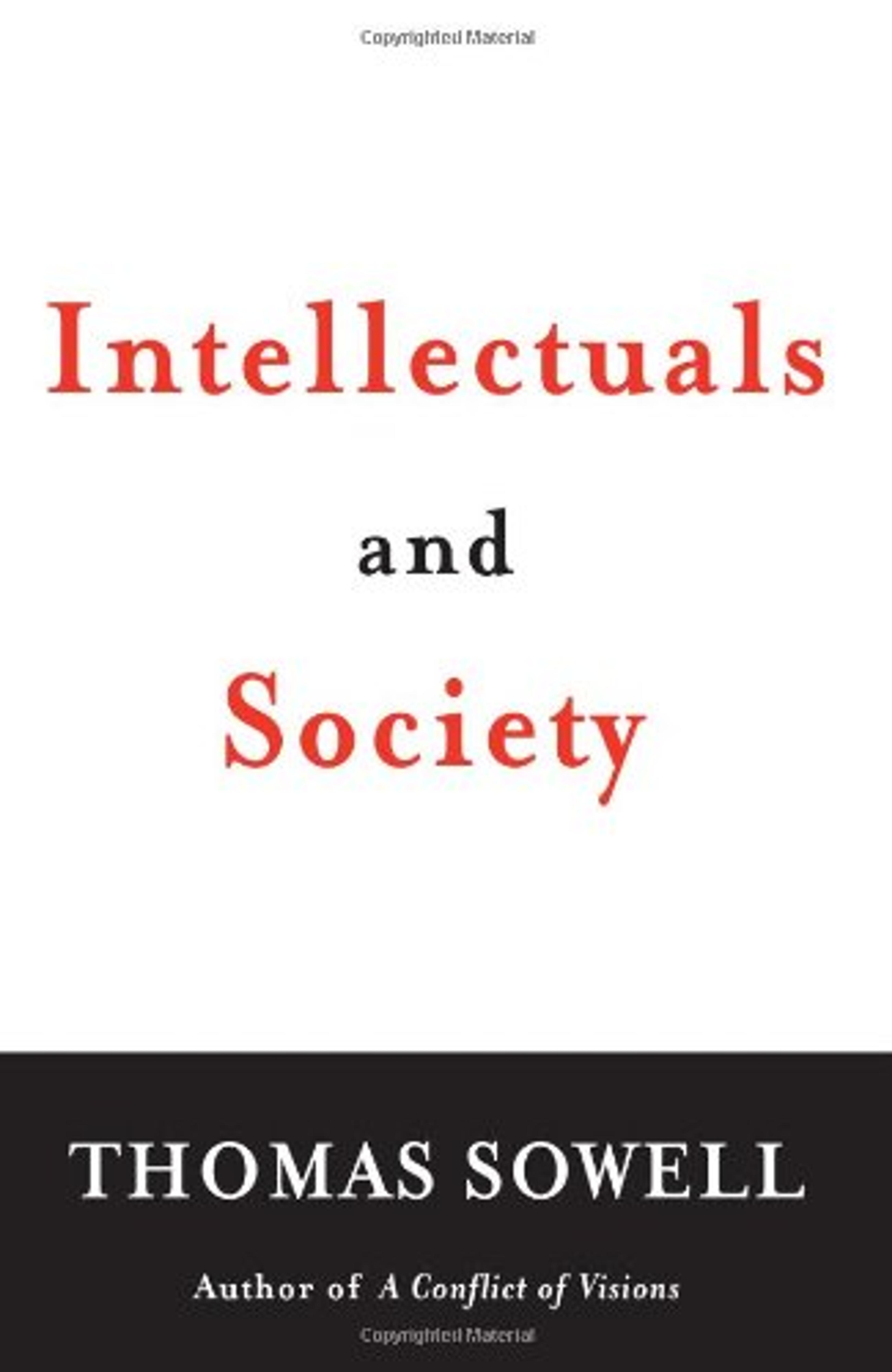 Intellectuals and Society cover, this book