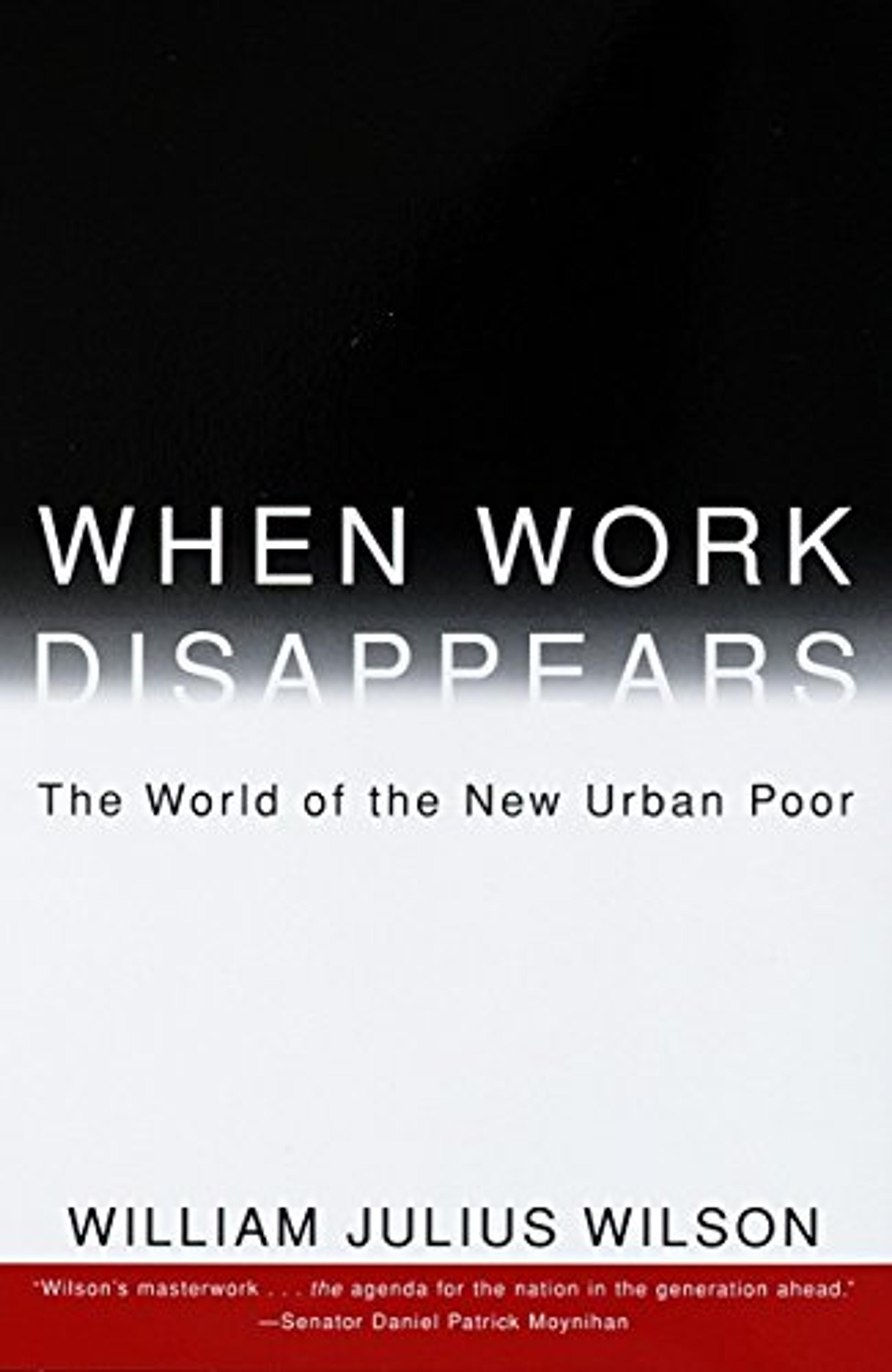 When Work Disappears cover, this book
