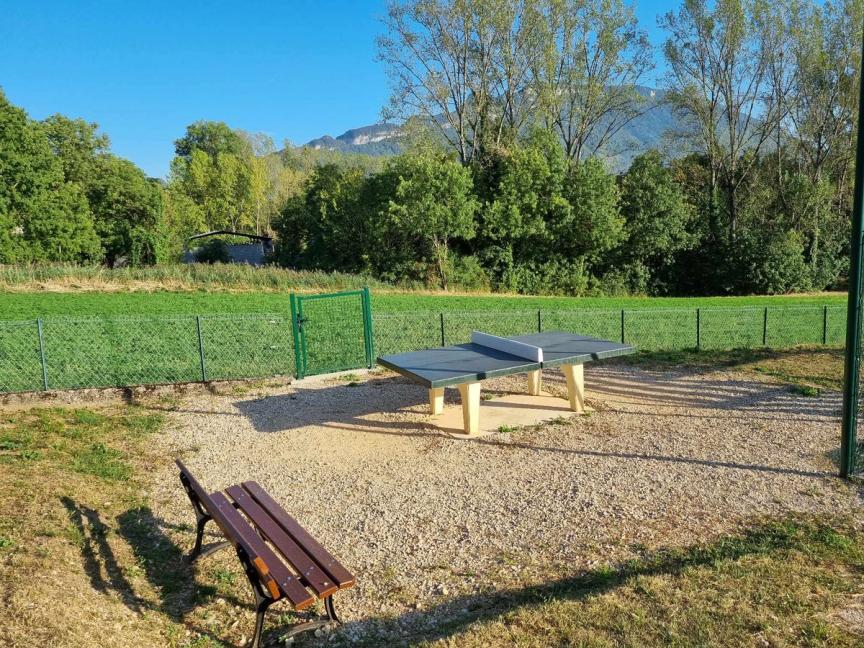 Table de ping pong