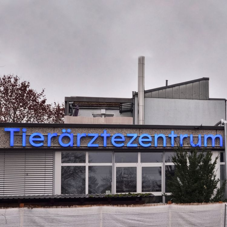 Blaue Leuchtbuchstaben an der Front eines flachen Gebäudes, bei Tag