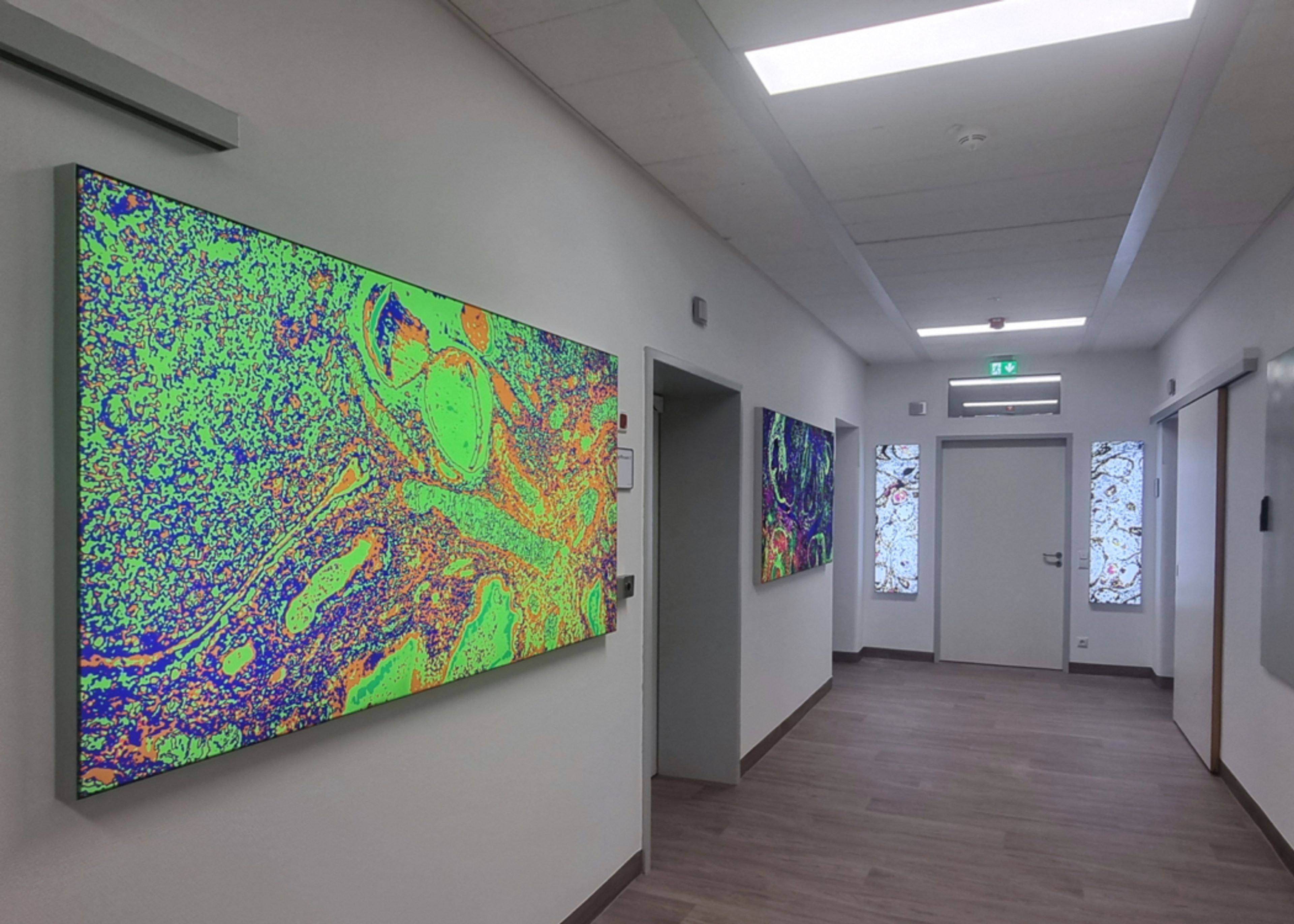 Rahmen mit bedrucktem Stoff an der Wand eines Flurs