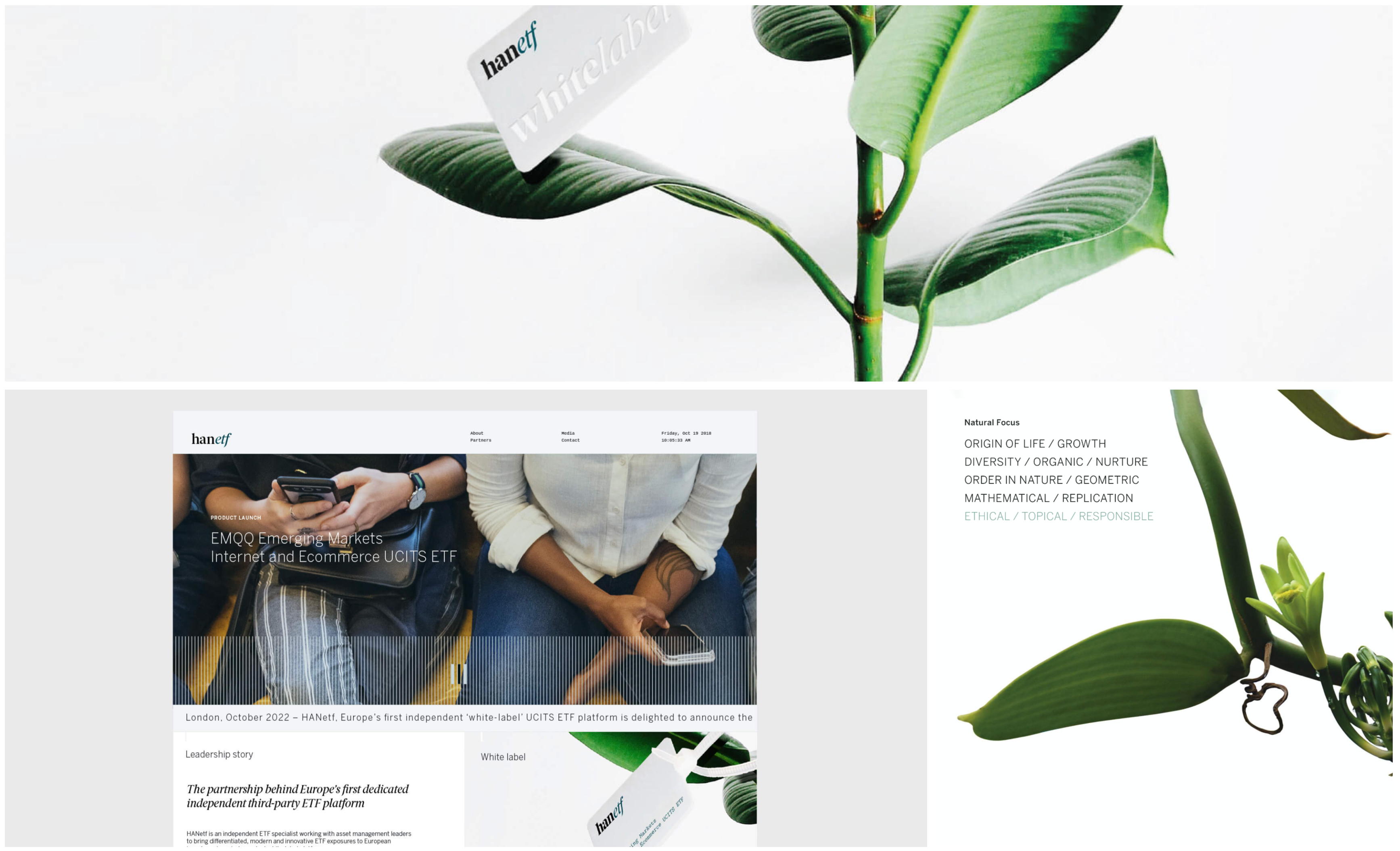 new financial product digital marketing case study cover